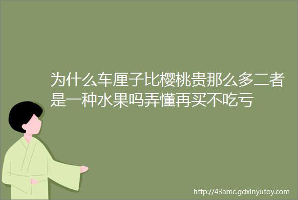 为什么车厘子比樱桃贵那么多二者是一种水果吗弄懂再买不吃亏